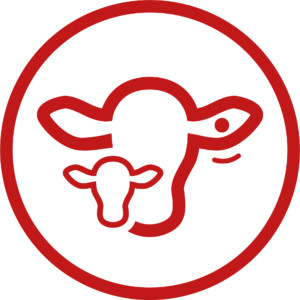 transition-icon-red-new