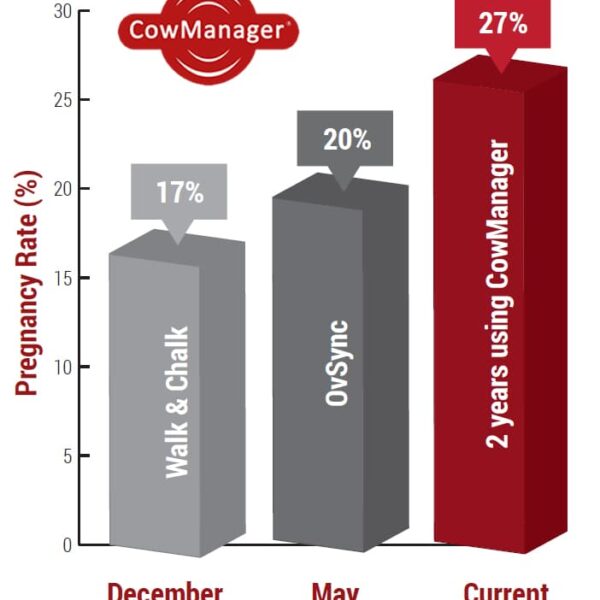 Pregnancy Rate graph from CowManager