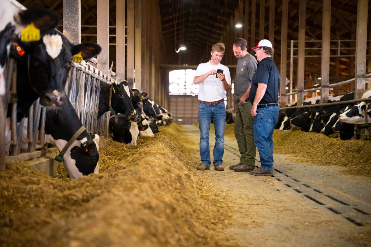 Foresight Farms